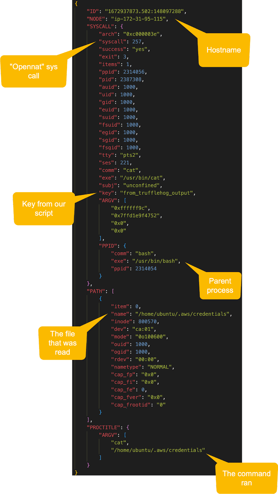 Laurel log output showing file access events