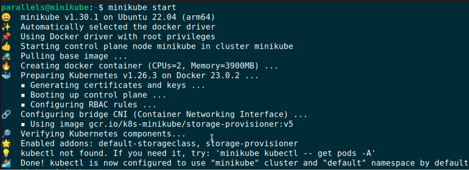 Minikube startup confirmation