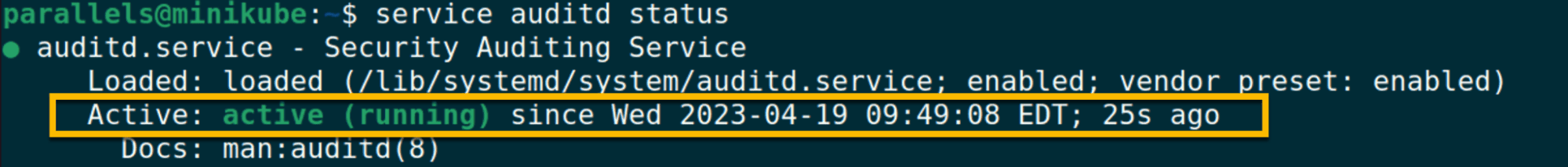 Auditd service status