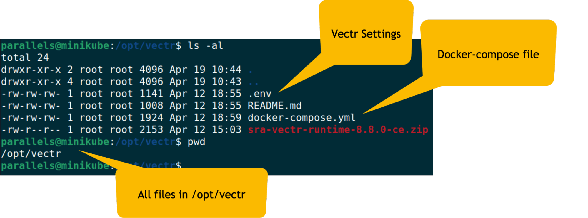 Vectr directory structure