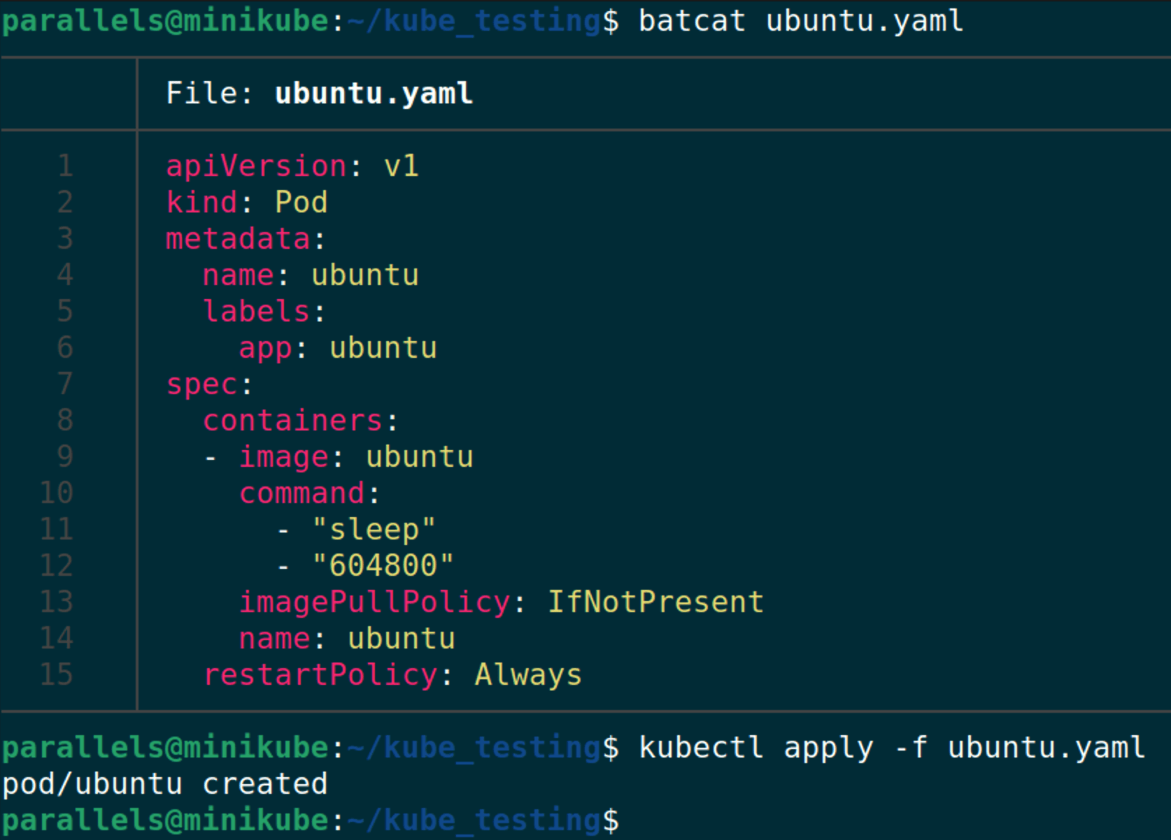 Ubuntu pod YAML display